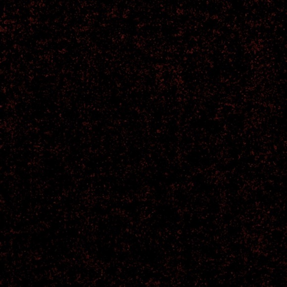 Meet your Posher, Michael - Picture 1 of 1